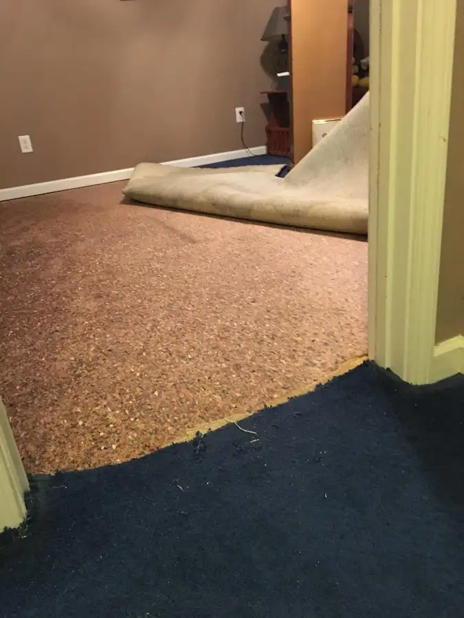 Carpet pad removal revealing water damage during Drying & Dehumidification in Sugarland Run