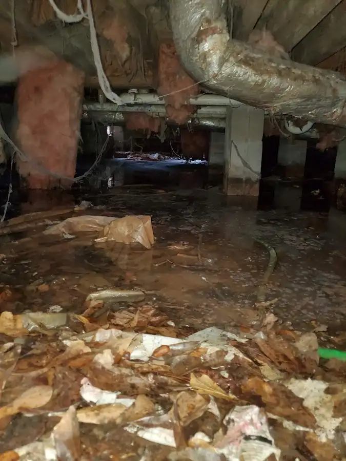 Crawl space flood assessment for Leak Detection & Repair in Sugarland Run